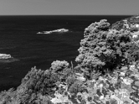 Ulcinj